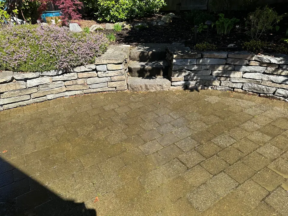 Stone patio before cleaning