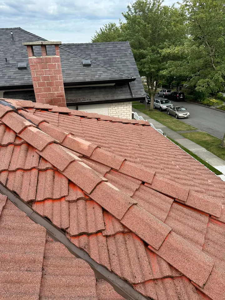 Tile roof after cleaning