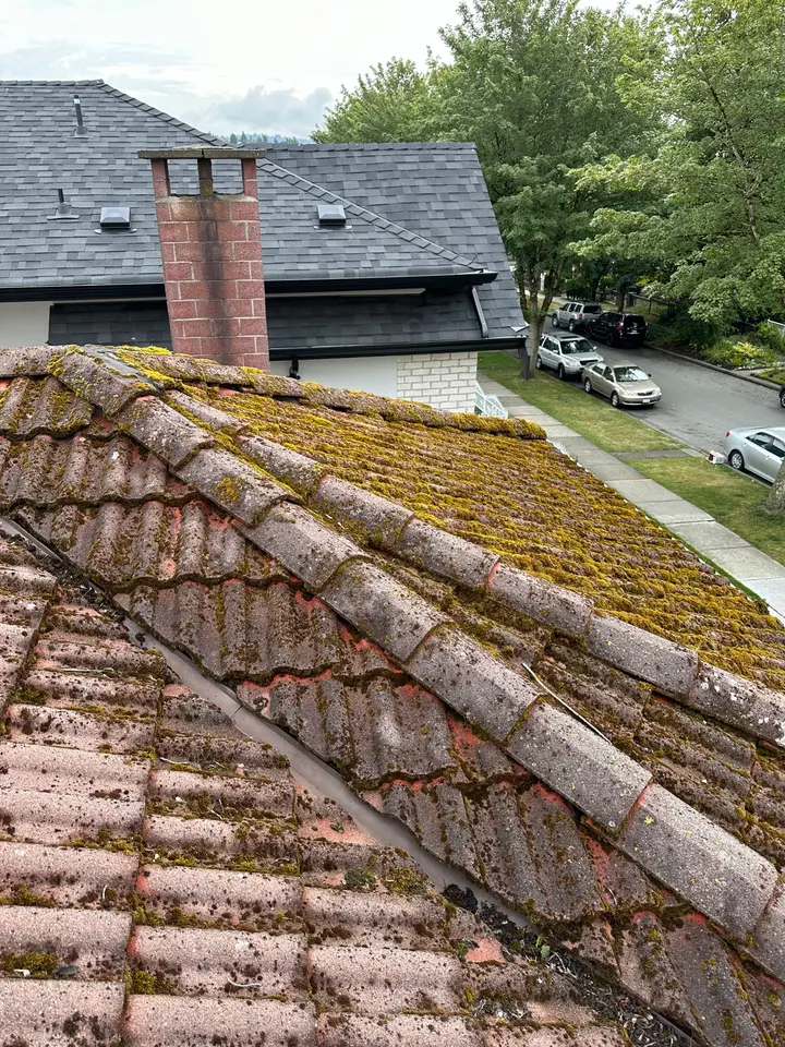 Tile roof before cleaning