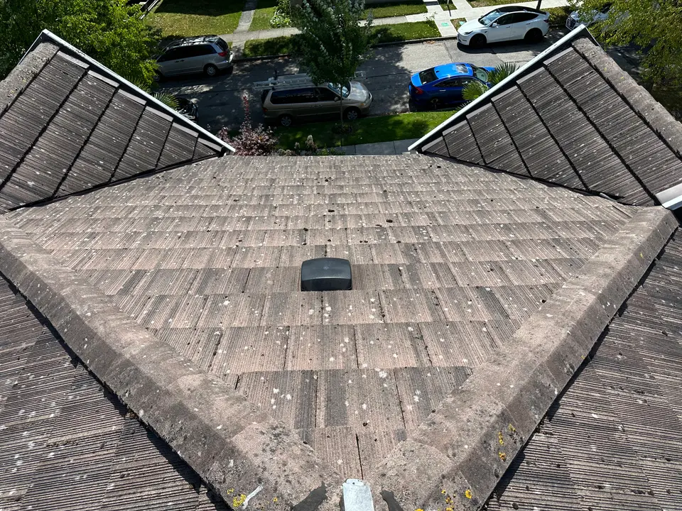 Concrete tile roof before cleaning