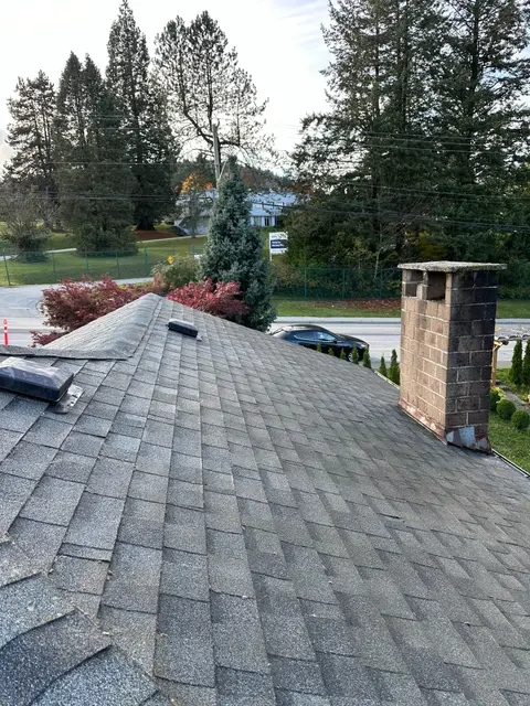 Roof and chimney after roof cleaning