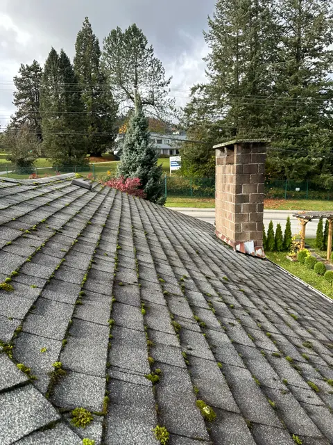 Roof and chimney before roof cleaning
