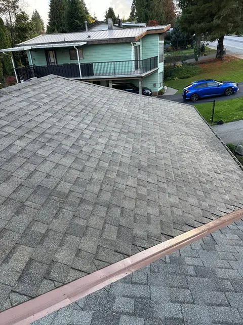 Moss on shingles after moss removal