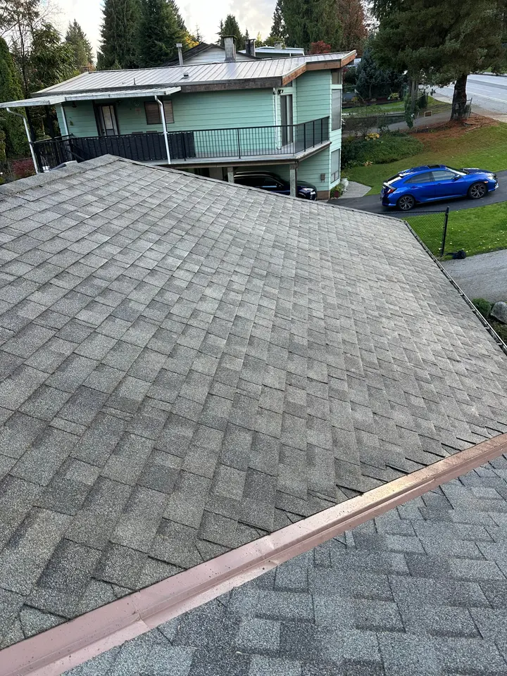 Moss on shingles after cleaning